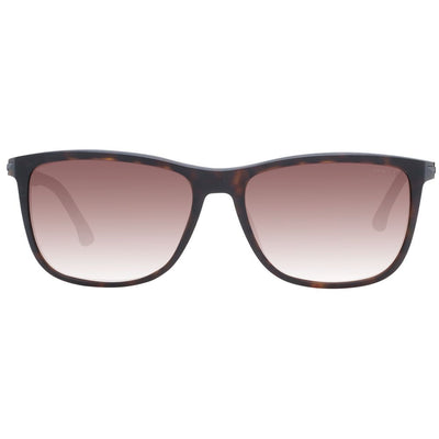 Police Brown Men Sunglass