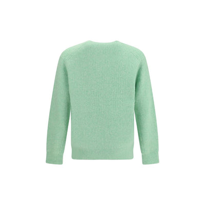 Sunflower Green Alpaca Vicugna Pacos Sweatshirt