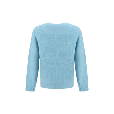 Sunflower Light Blue Alpaca Vicugna Pacos Sweatshirt