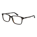 Spy Brown Plastic Glasses (Frames)