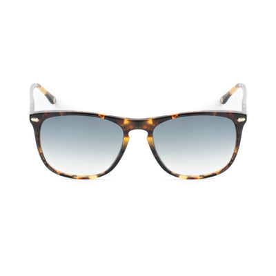 Belstaff Brown Acetate Sunglasses